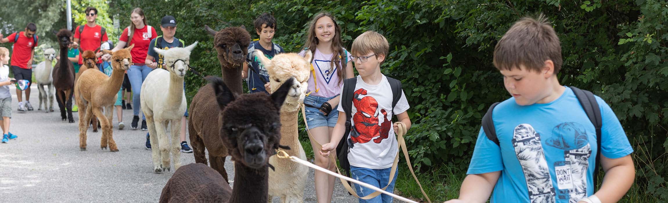 TGW Kids: Ferienbetreuung bei der TGW.